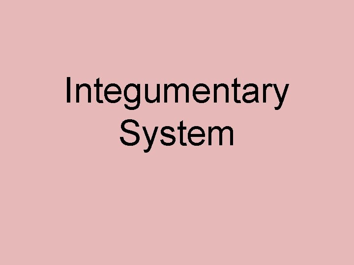 Integumentary System Integumentary System