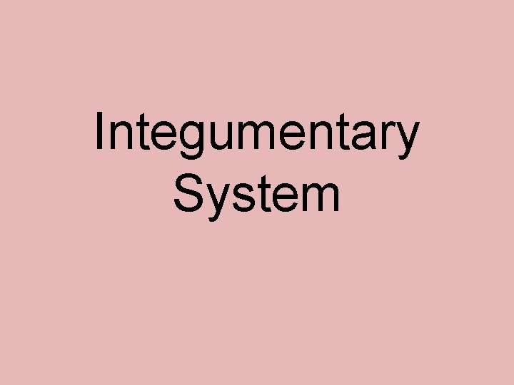 Integumentary System 