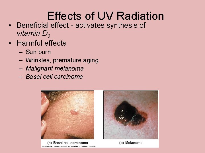 Effects of UV Radiation • Beneficial effect - activates synthesis of vitamin D 3 Effects of UV Radiation • Beneficial effect - activates synthesis of vitamin D 3