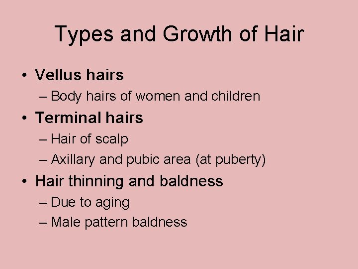 Types and Growth of Hair • Vellus hairs – Body hairs of women and