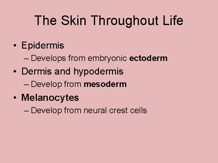 The Skin Throughout Life • Epidermis – Develops from embryonic ectoderm • Dermis and