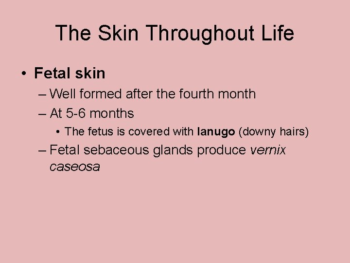 The Skin Throughout Life • Fetal skin – Well formed after the fourth month