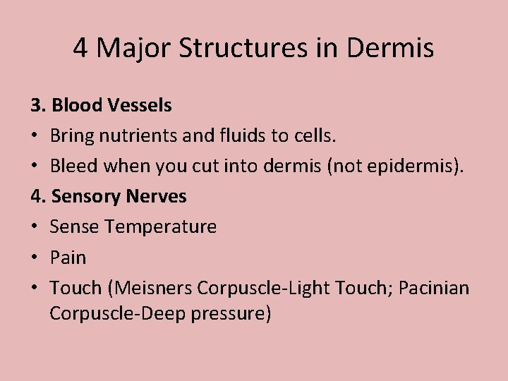 4 Major Structures in Dermis 3. Blood Vessels • Bring nutrients and fluids to 4 Major Structures in Dermis 3. Blood Vessels • Bring nutrients and fluids to