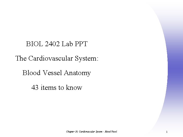 BIOL 2402 Lab PPT The Cardiovascular System: Blood Vessel Anatomy 43 items to know