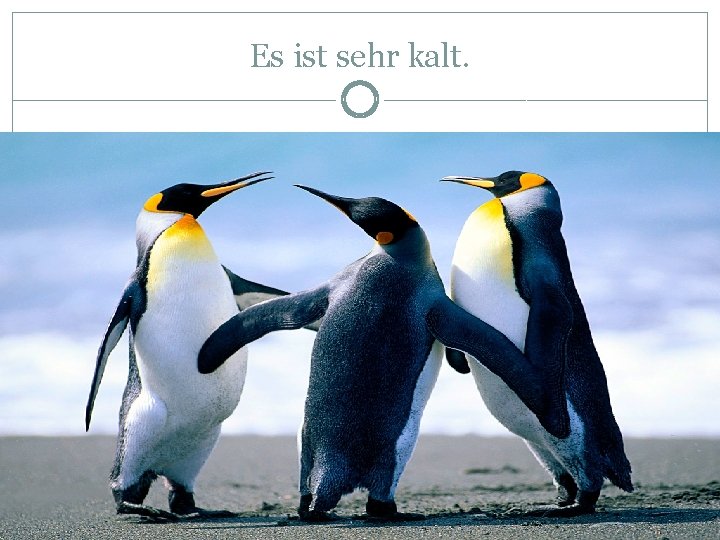 Es ist sehr kalt. 