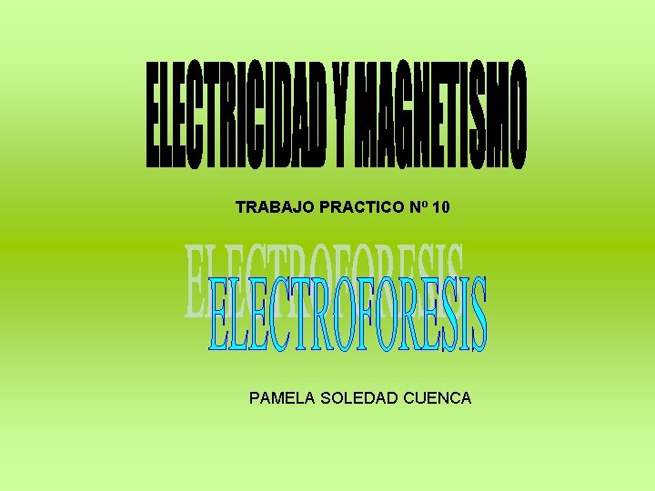 TRABAJO PRACTICO Nº 10 PAMELA SOLEDAD CUENCA 
