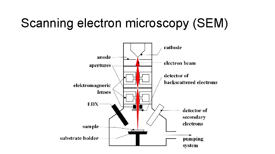 Scanning electron microscopy (SEM) 