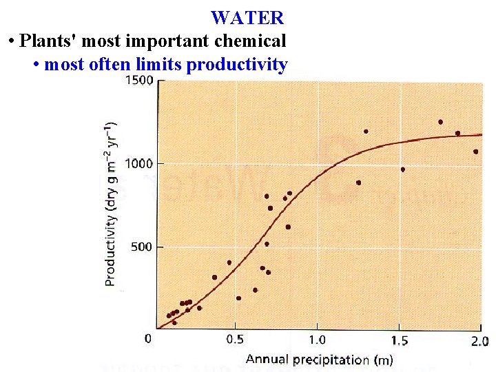 WATER • Plants' most important chemical • most often limits productivity 