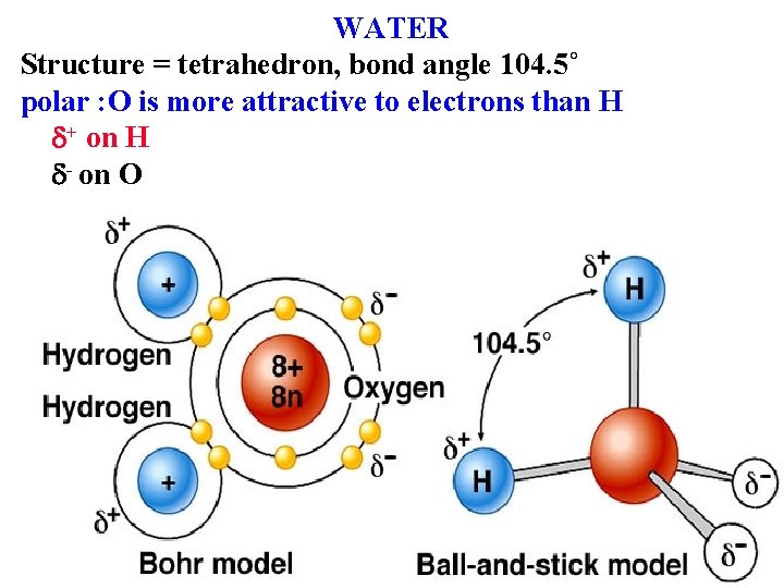 WATER Structure = tetrahedron, bond angle 104. 5˚ polar : O is more attractive