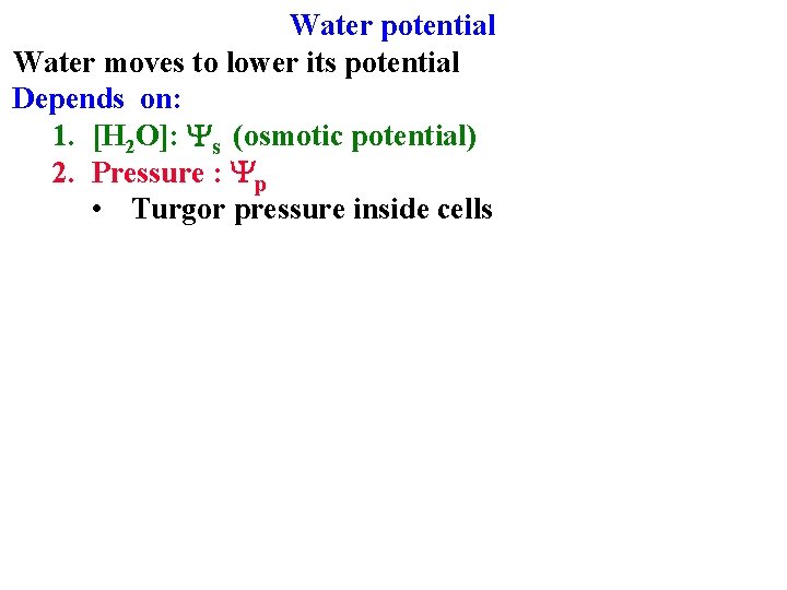 Water potential Water moves to lower its potential Depends on: 1. [H 2 O]: