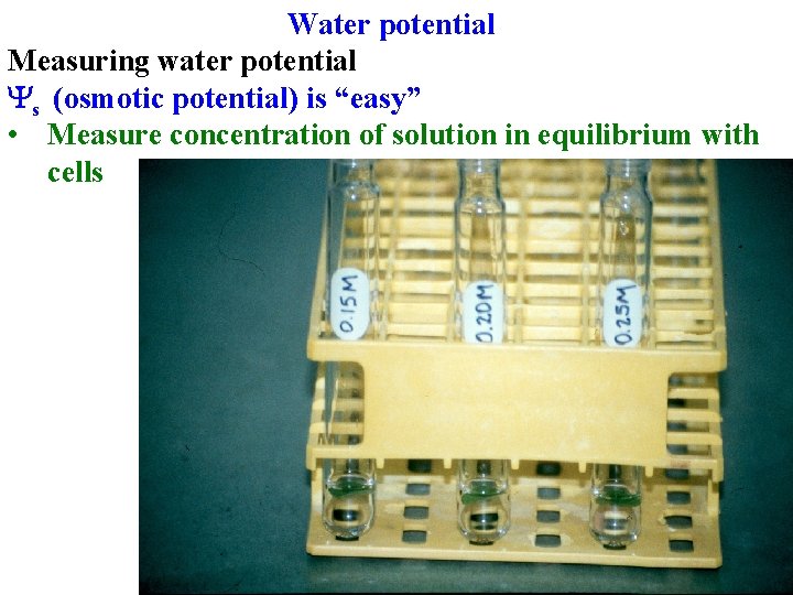 Water potential Measuring water potential Ys (osmotic potential) is “easy” • Measure concentration of