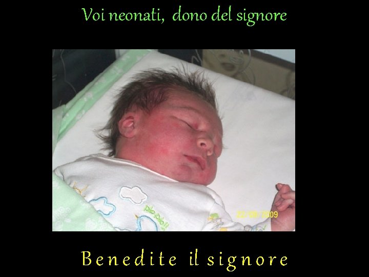 Voi neonati, dono del signore B e n e d i t e il