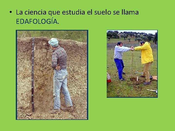  • La ciencia que estudia el suelo se llama EDAFOLOGÍA. 