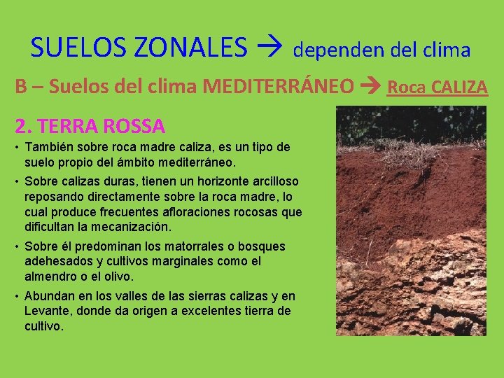 SUELOS ZONALES dependen del clima B – Suelos del clima MEDITERRÁNEO Roca CALIZA 2.