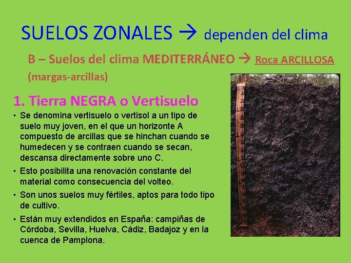 SUELOS ZONALES dependen del clima B – Suelos del clima MEDITERRÁNEO Roca ARCILLOSA (margas-arcillas)