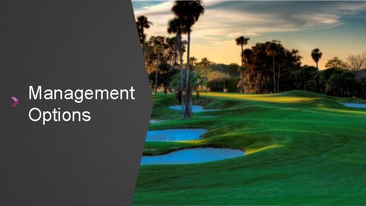 GOLF AND TENNIS OPERATIONS MANAGEMENT OPTIONS O VE
