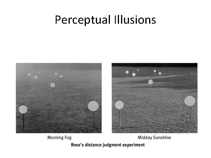 Focused Perception Examples Chapter 6 Perception Perception Selective Attention focus of