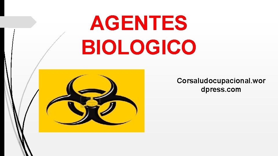 AGENTES BIOLOGICO Corsaludocupacional. wor dpress. com 
