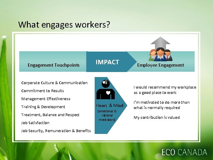 What You Dont Know About Your Environmental Workers