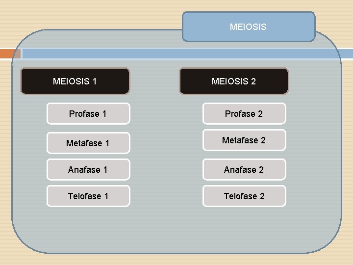 MEIOSIS 1 MEIOSIS 2 Profase 1 Profase 2 Metafase 1 Metafase 2 Anafase 1