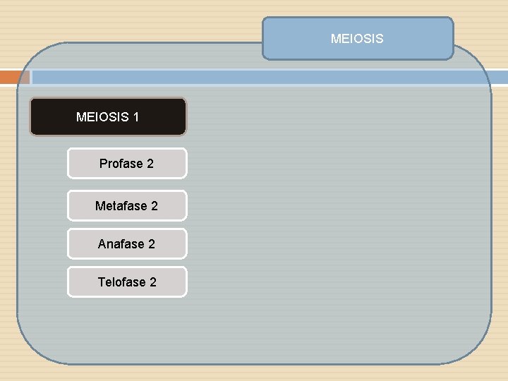 MEIOSIS 1 Profase 2 Metafase 2 Anafase 2 Telofase 2 