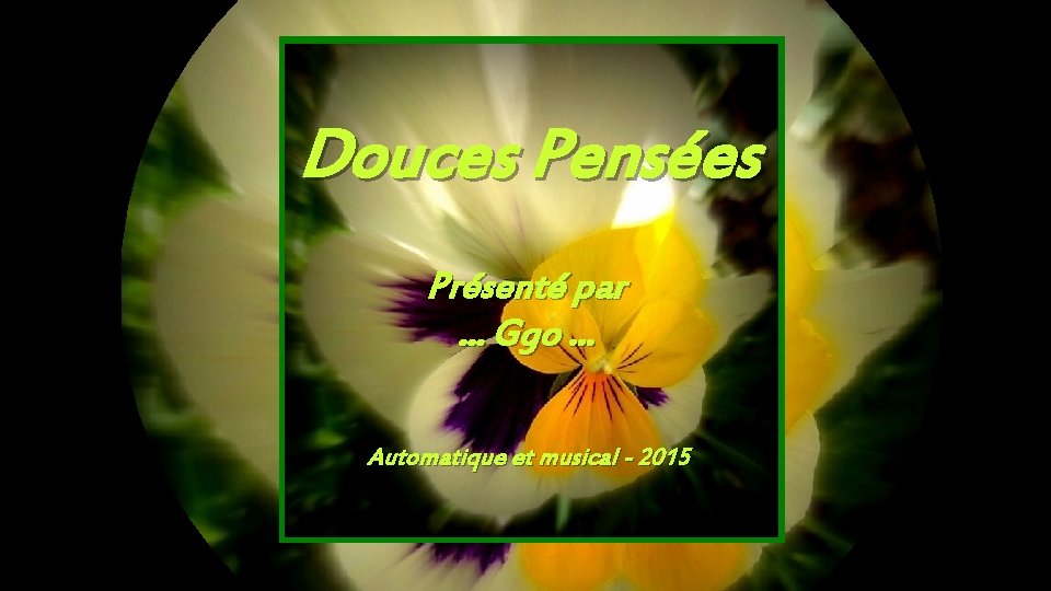 Douces Pensées Présenté par. . . Ggo. . . Automatique et musical - 2015