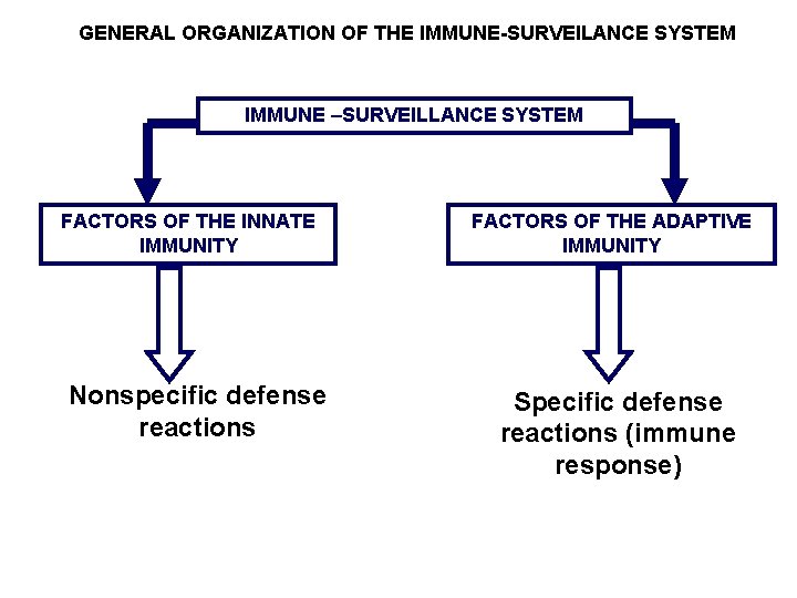 GENERAL ORGANIZATION OF THE IMMUNE-SURVEILANCE SYSTEM IMMUNE –SURVEILLANCE SYSTEM FACTORS OF THE INNATE IMMUNITY