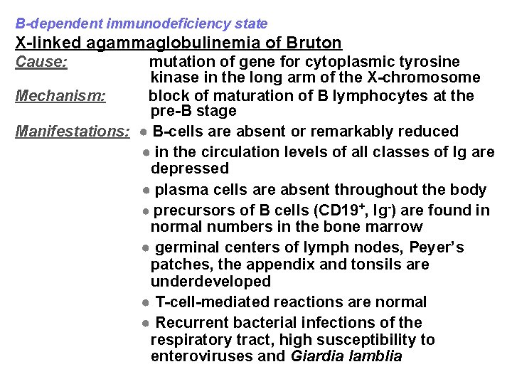 B-dependent immunodeficiency state X-linked agammaglobulinemia of Bruton Cause: mutation of gene for cytoplasmic tyrosine