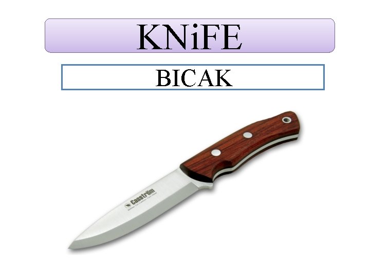 KNi. FE BICAK 