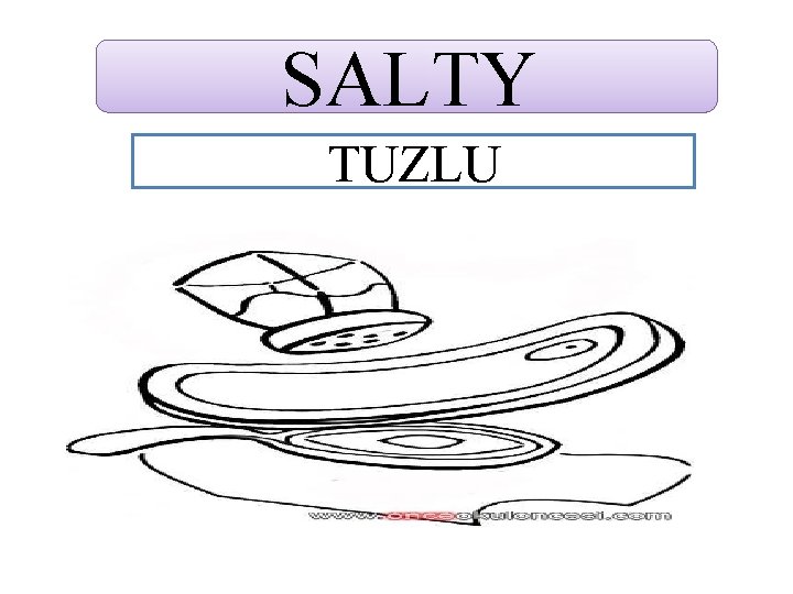 SALTY TUZLU 