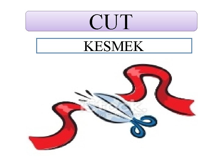 CUT KESMEK 