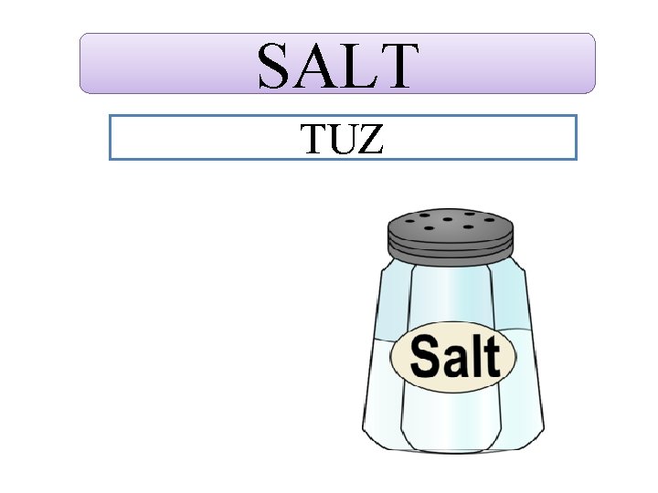 SALT TUZ 