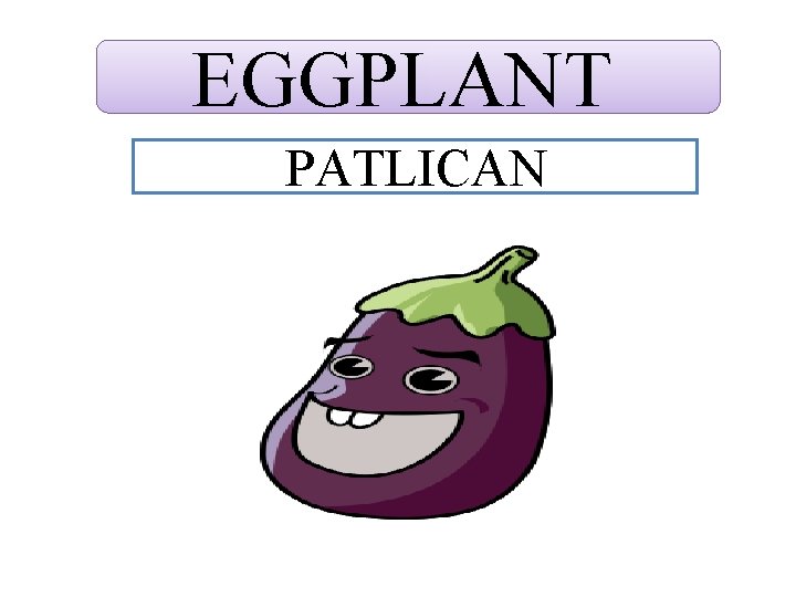 EGGPLANT PATLICAN 