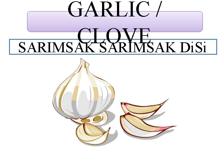 GARLIC / CLOVE SARIMSAK Di. Si 