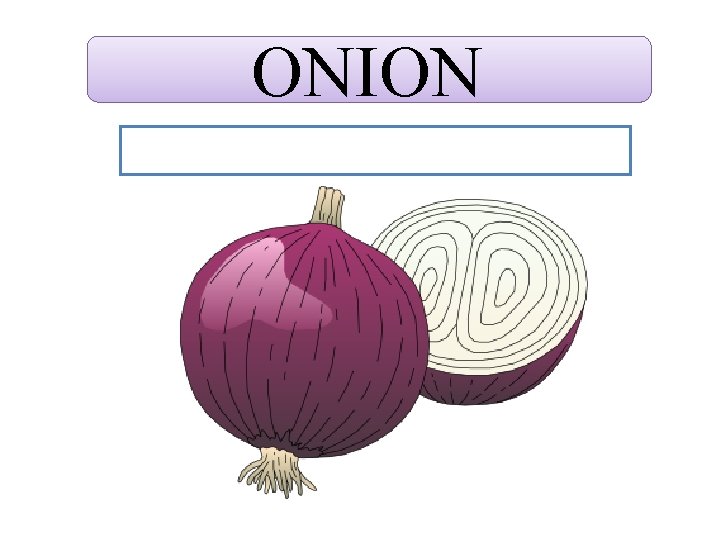 ONION 