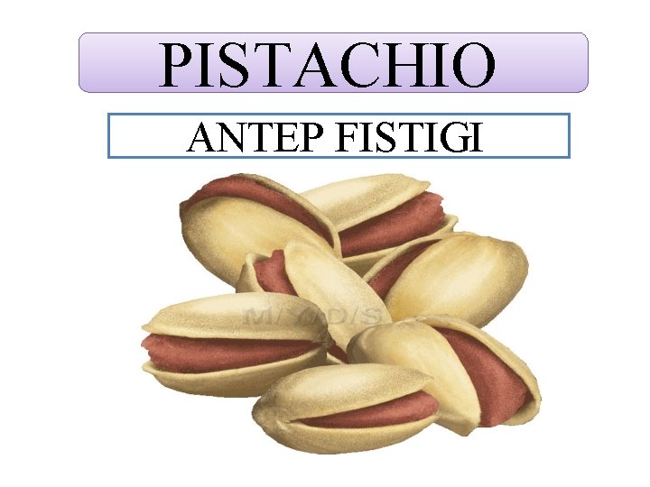 PISTACHIO ANTEP FISTIGI 