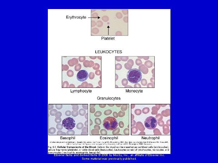 Elsevier items and derived items © 2008 by Mosby, Inc. , an affiliate of