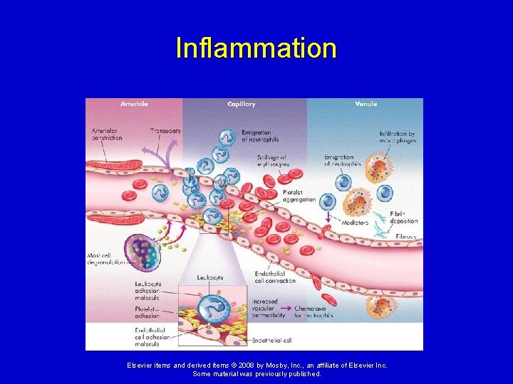 Inflammation Elsevier items and derived items © 2008 by Mosby, Inc. , an affiliate
