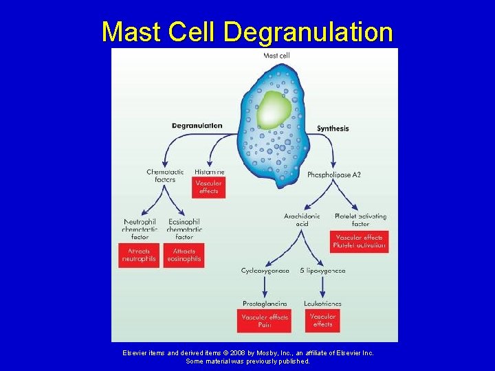 Mast Cell Degranulation Elsevier items and derived items © 2008 by Mosby, Inc. ,