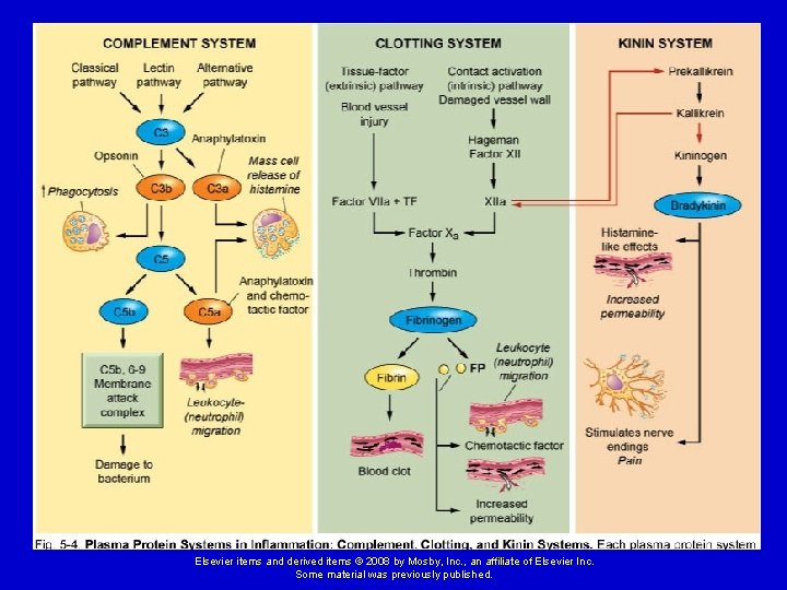 Elsevier items and derived items © 2008 by Mosby, Inc. , an affiliate of