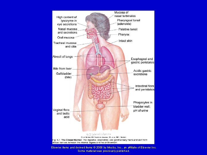 Elsevier items and derived items © 2008 by Mosby, Inc. , an affiliate of