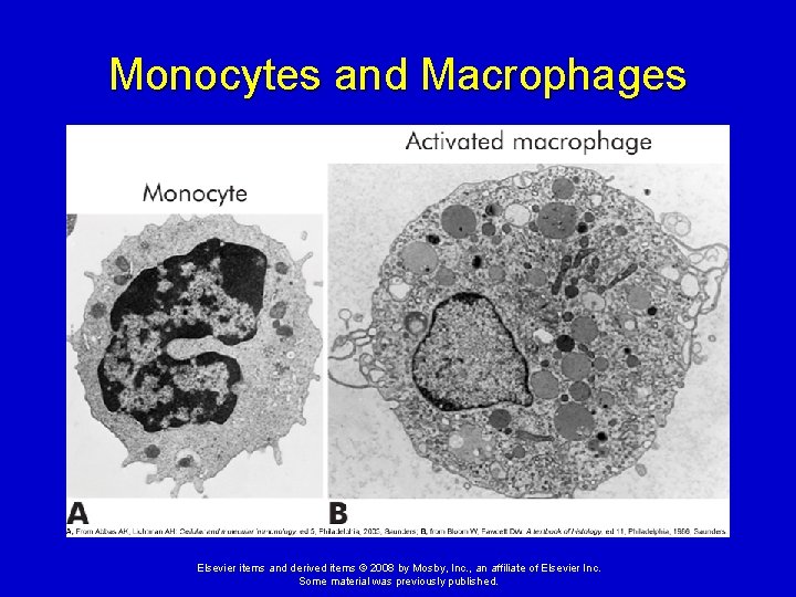 Monocytes and Macrophages Elsevier items and derived items © 2008 by Mosby, Inc. ,
