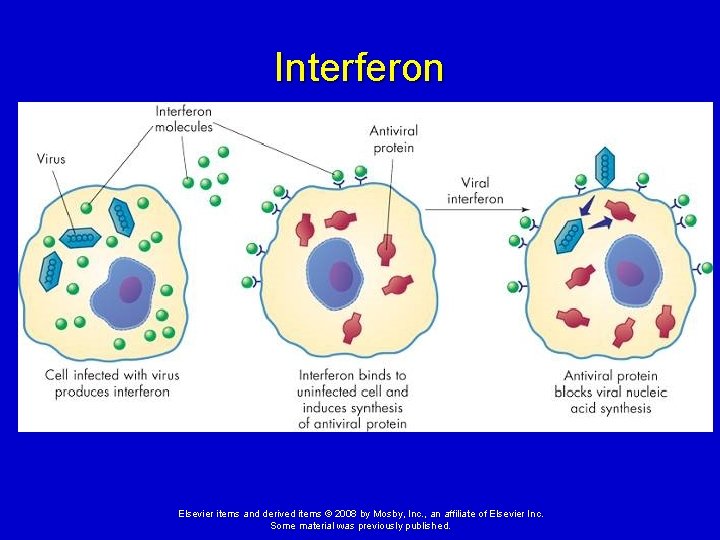 Interferon Elsevier items and derived items © 2008 by Mosby, Inc. , an affiliate
