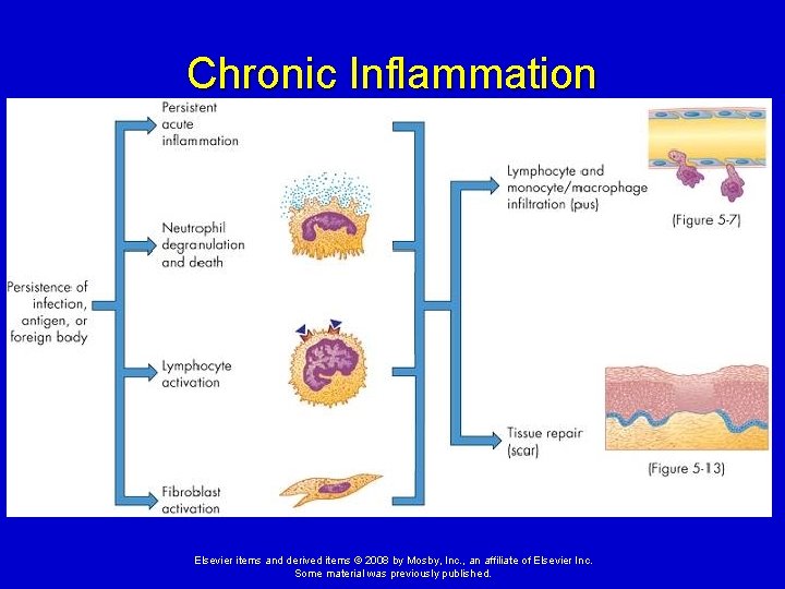 Chronic Inflammation Elsevier items and derived items © 2008 by Mosby, Inc. , an