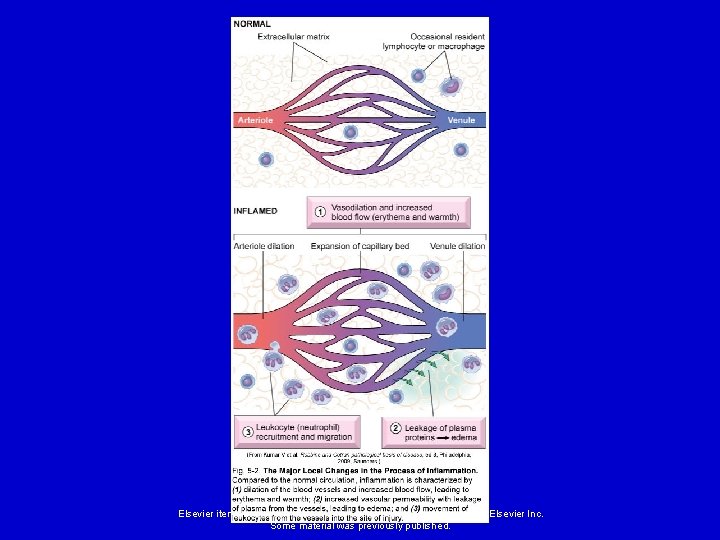 Elsevier items and derived items © 2008 by Mosby, Inc. , an affiliate of