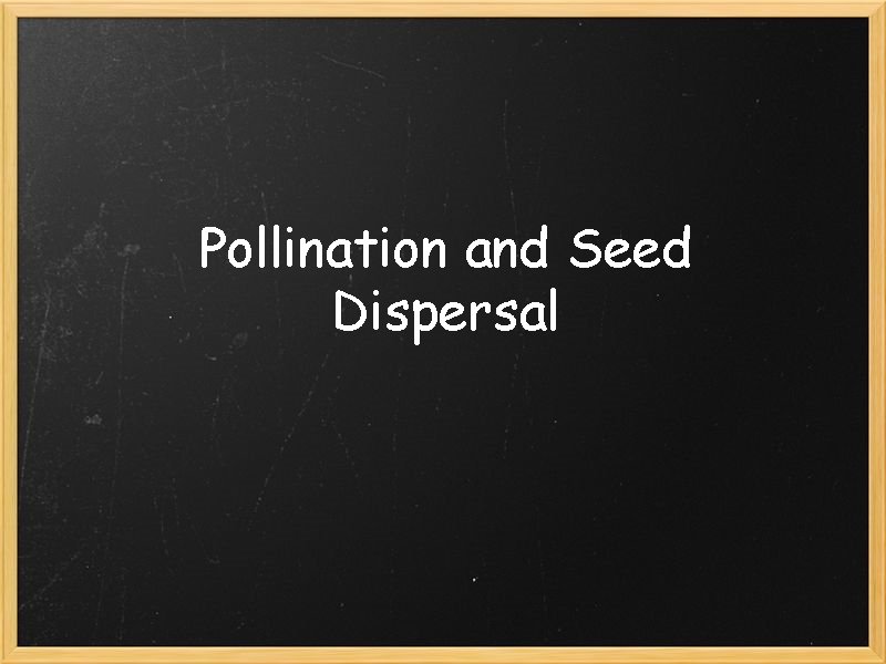 Pollination and Seed Dispersal 