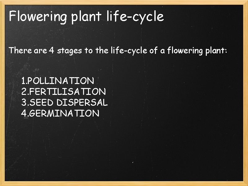 Flowering plant life-cycle There are 4 stages to the life-cycle of a flowering plant: