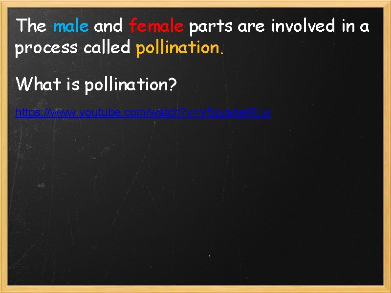 The male and female parts are involved in a process called pollination. What is