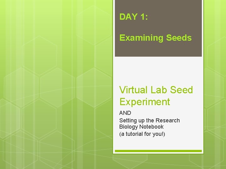 DAY 1: Examining Seeds Virtual Lab Seed Experiment AND Setting up the Research Biology