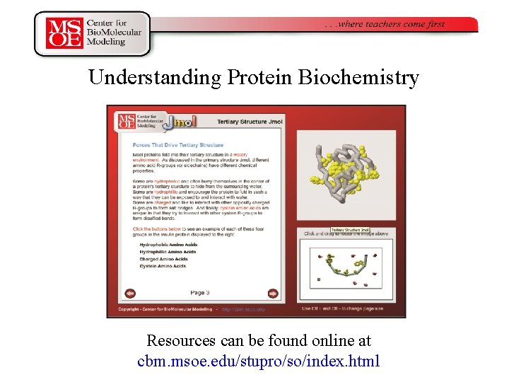 Understanding Protein Biochemistry Resources can be found online at cbm. msoe. edu/stupro/so/index. html Understanding Protein Biochemistry Resources can be found online at cbm. msoe. edu/stupro/so/index. html